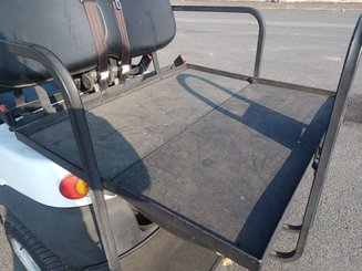 Voiturette de golf Liberty A1S2