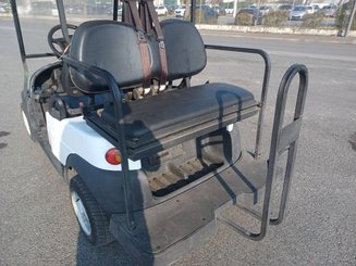 Voiturette de golf Liberty A1S2