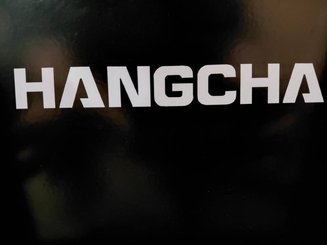 Table élévatrice électrique Hangcha 2005XB